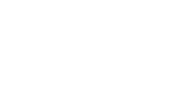 Patey Aviation